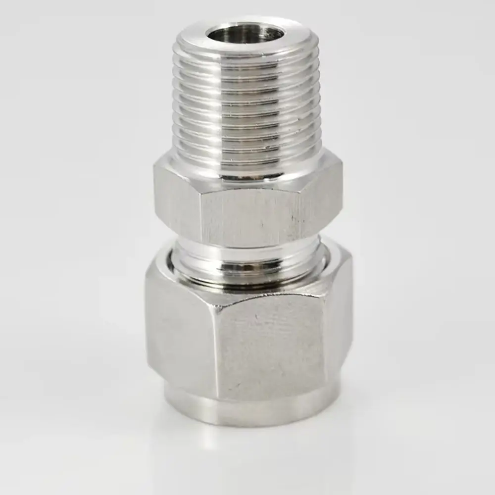 Connecteur de Tube à Double virole en acier inoxydable, filetage mâle 1/8 "1/4" 3/8 "1/2" à 3-16mm OD, raccord rapide 304 SS, 1 pièce