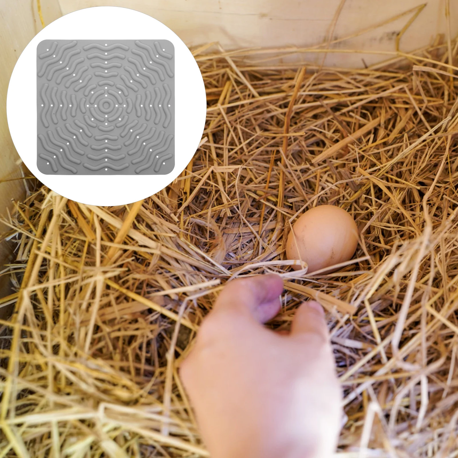 

Silicone Egg Protective Mats Chicken Nesting Pads Washable Coop Cage Laying Pad Non Piercing Nest Box Liners Easy Clean Reusable