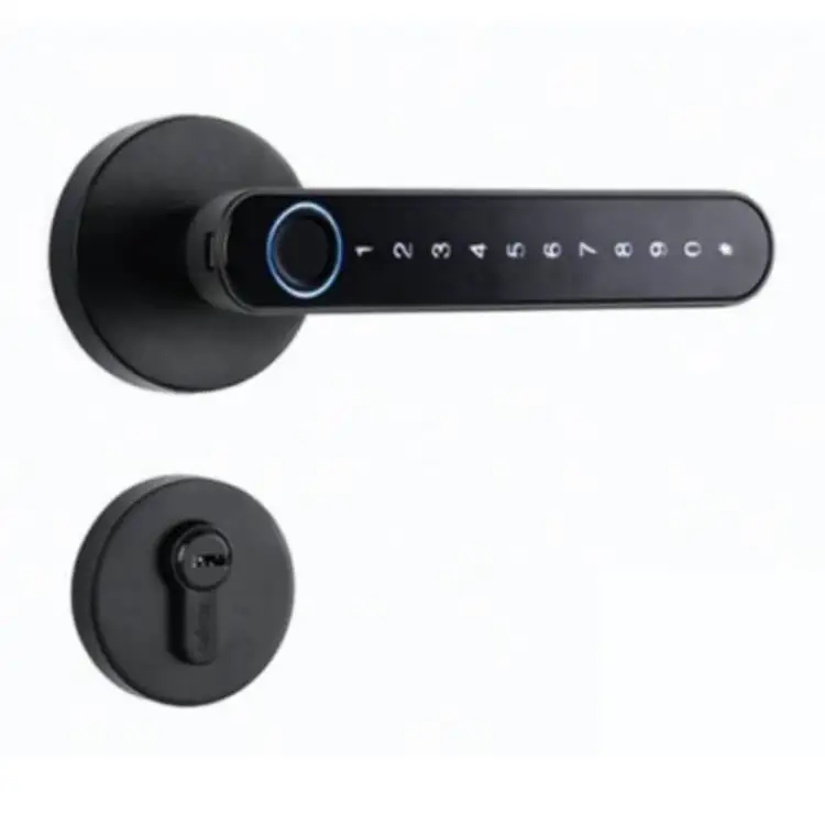Functional Bedroom  Smart Door Lock Fingerprint Bluetooth Password Keyless Automatic Smart Handle Lock