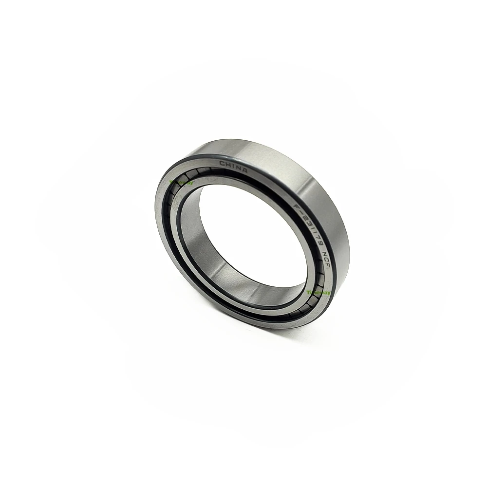 

China Roller Bearings F-231179 Bearing