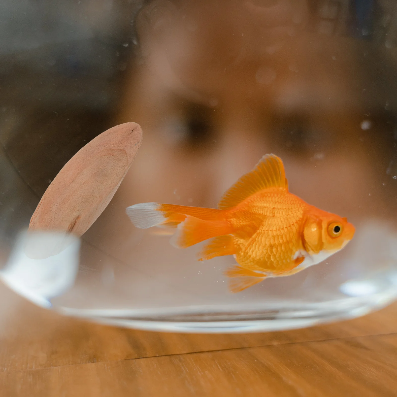 

20pcs Natural Wood Slices 7-8Cm Driftwood For Aquarium Decor Diy Craft Embellishments Unfinished Beechwood Discs Wood Biscuits