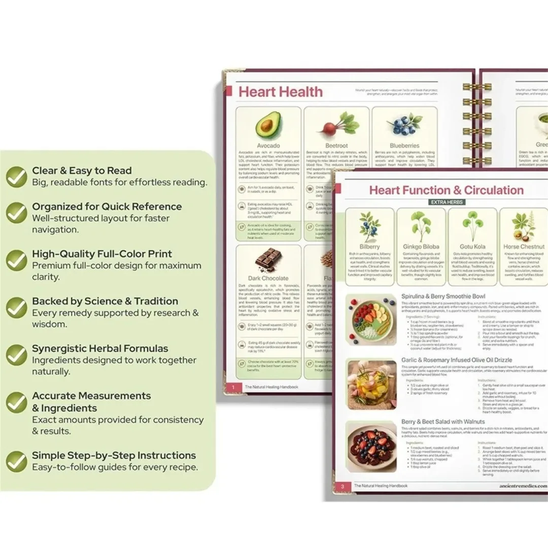 Natural Healing Handbook Spiral Bound Guidebook For Herbal Remedies And Holistic Health Support With Step By Step Protocols