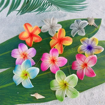 Hula Girl Store - Amazing products with exclusive discounts on