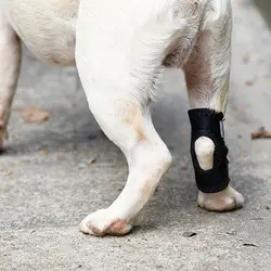Protective Case Joint Recovery Bandage for Small,Middle,Large Dog Dog Leg Brace Dog Leg Wrap Dog Support Brace Pet Knee Pads