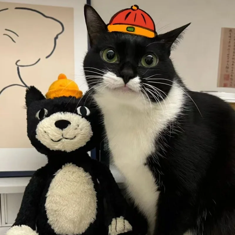 

Kawaii Jellycat Jack Plush Amuseable Animal Cat Doll Soothing and Accompanying Toy Soft Pillow Gift Kids