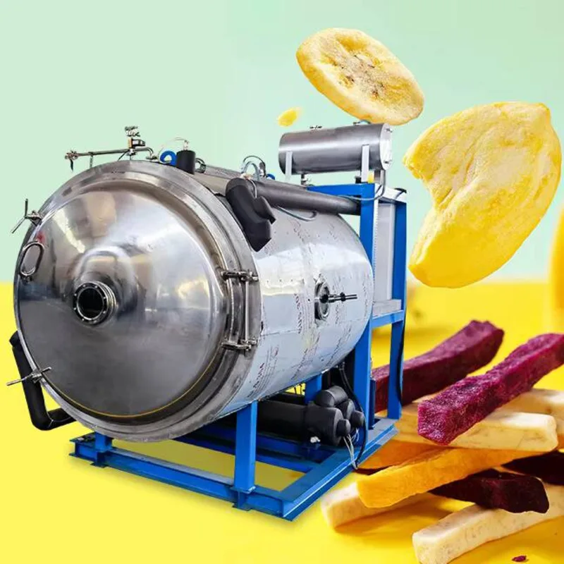 Automatic Vacuum For Food Processing Juice Machine Milk Freeze Dryer Pump