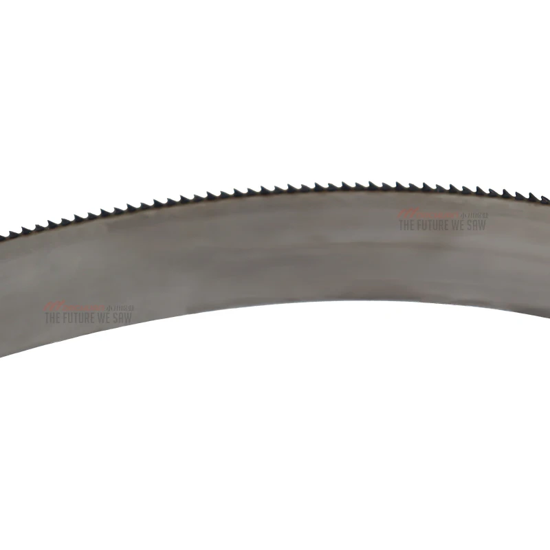 Blade Woodworking Band Saw Blade for Sawmill Cutting Hard Wood Customized Size TCT Carbide Band Saw