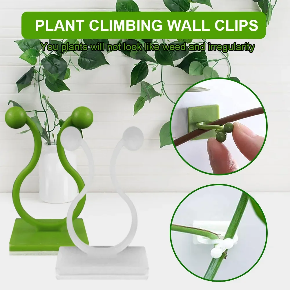 50PCS Invisible Rattan Clamp Wall Fixture Clips Vine Climbing Fixer Self-Adhesive Hook Plant Bracket Sticky Hook Plant Support