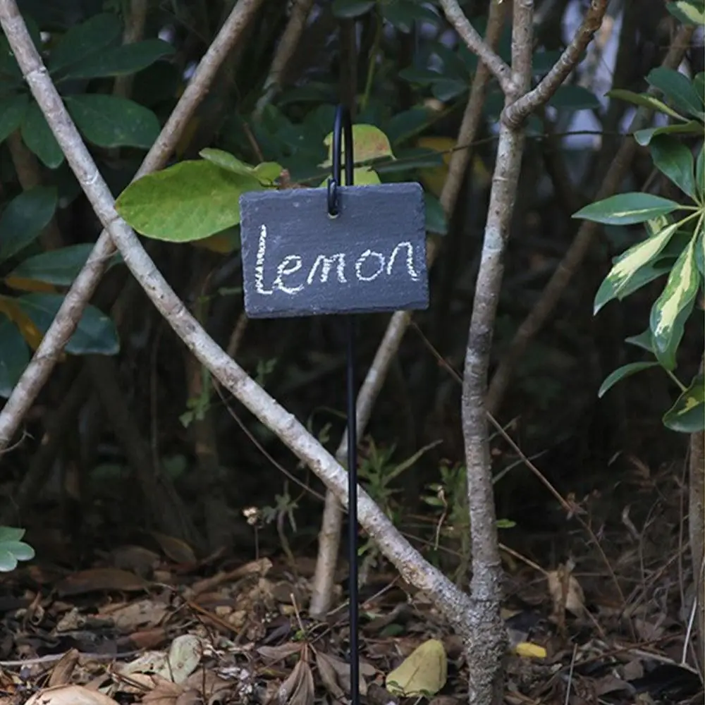 2pcs Durable Metal Shepherd Hook Rust Proof Waterproof Ground Insertion Rod Hanging Multi-purpose Iron Bracket Scene Layout