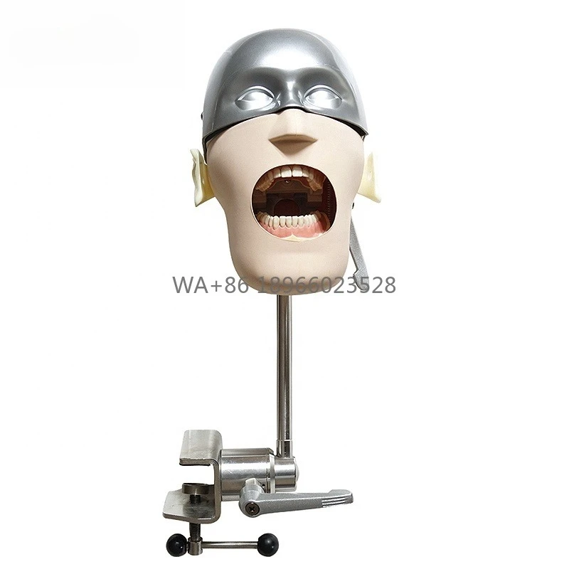 

Усовершенствованные стоматологические фантомные тренажеры: Медицинская обучающая модель головы человека для изучения зубов