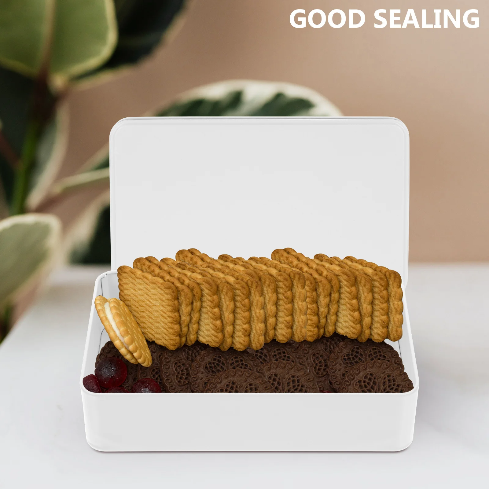 

3Pcs Empty Tin Box with Lid Small Tinplate Storage Holder for Wedding Favors Gift Packaging Candy Tea Leaves Compact Lightweight
