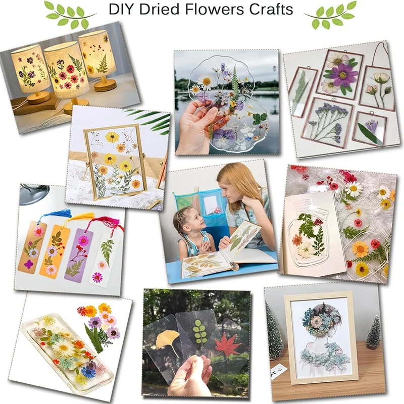 大人のためのプロのフラワープレスキット,DIY, 30x21cm,ドライフラワーアートの製造