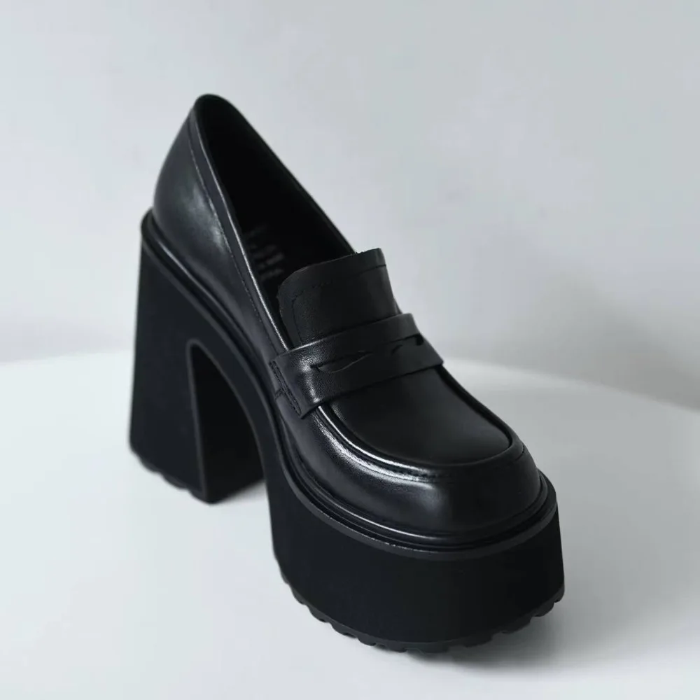 Retro Le Fu Shoes 2026 New Thick Soled High Heels Daily Luxury Women's Solid Color Temperament Mary Jane with Follow-up Shoes
