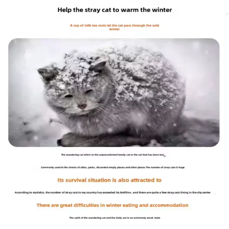 Heated Outdoor Cat Shelter with Elevated Base 3