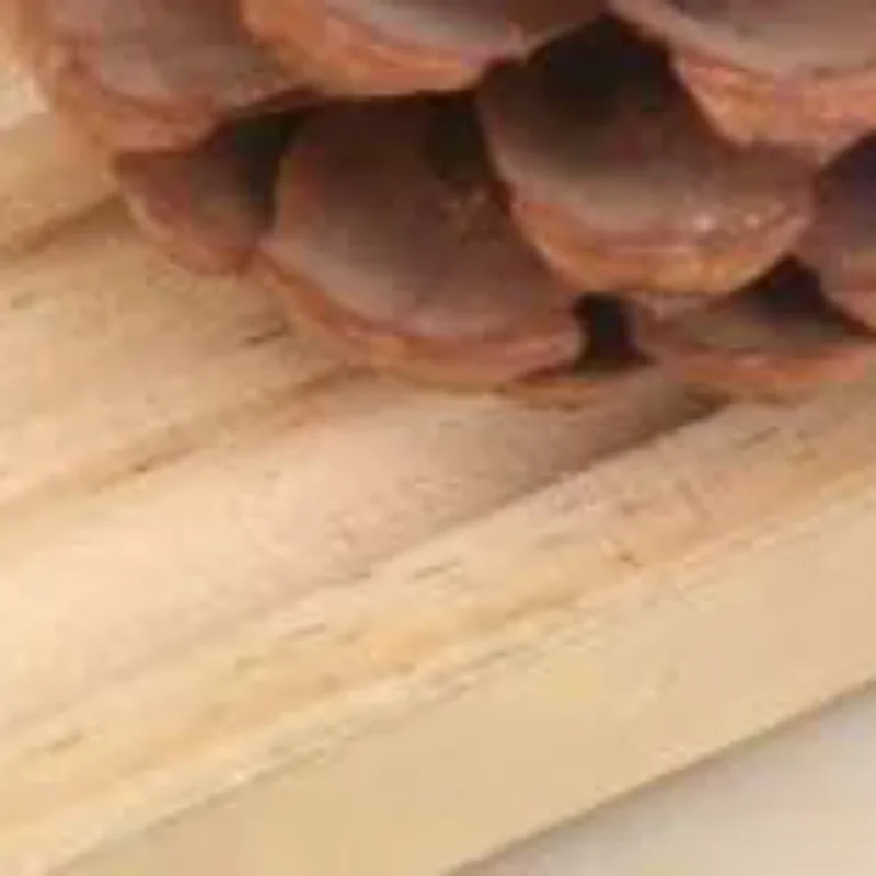 

Пластиковая массажная расческа-гребень для тела Гуаша, антистатический массажер с 6 зубцами для головы, способствующий расслаблению