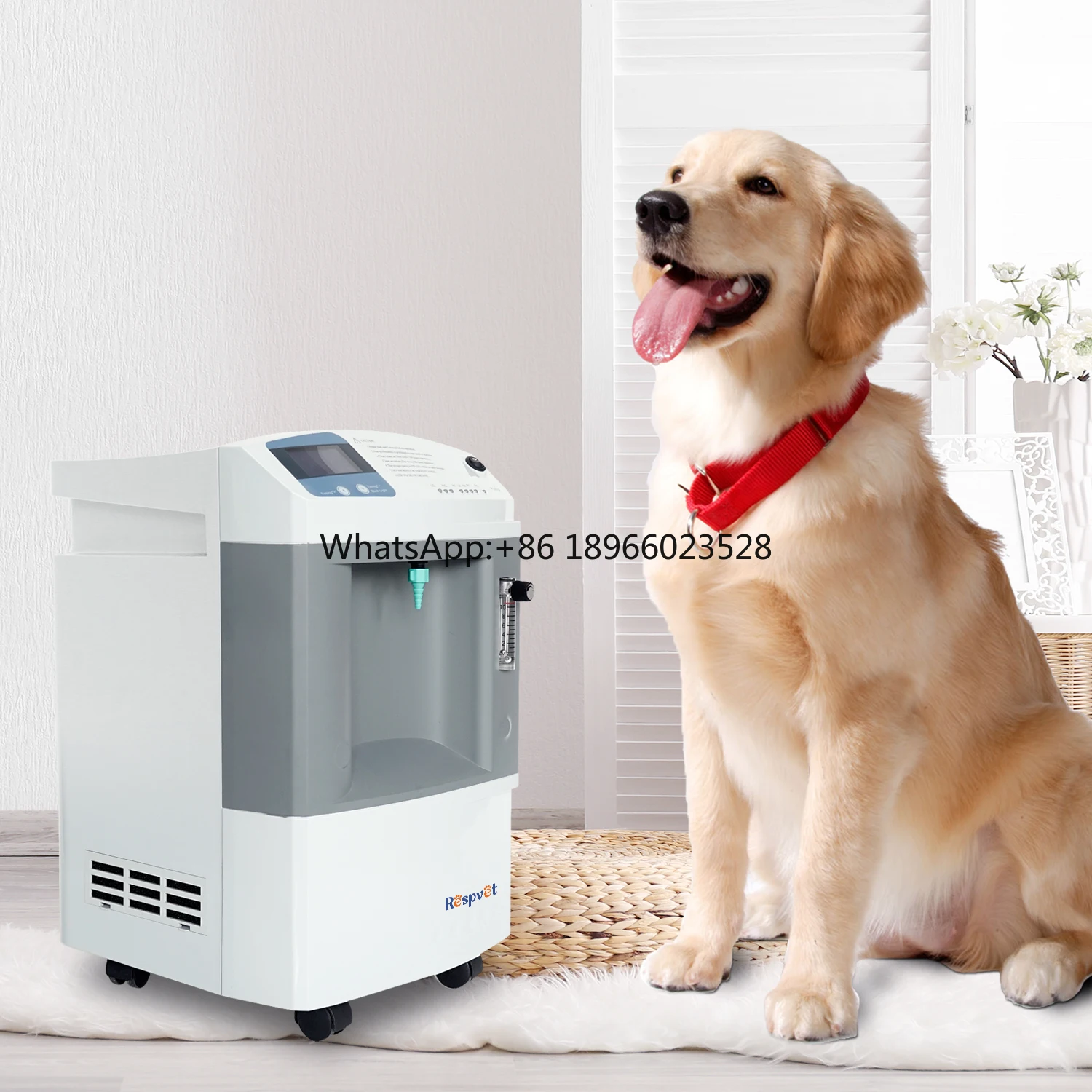 

10L LONGFIAN Veterinary Animals Medical Use Pet Care Oxygen Concentrator