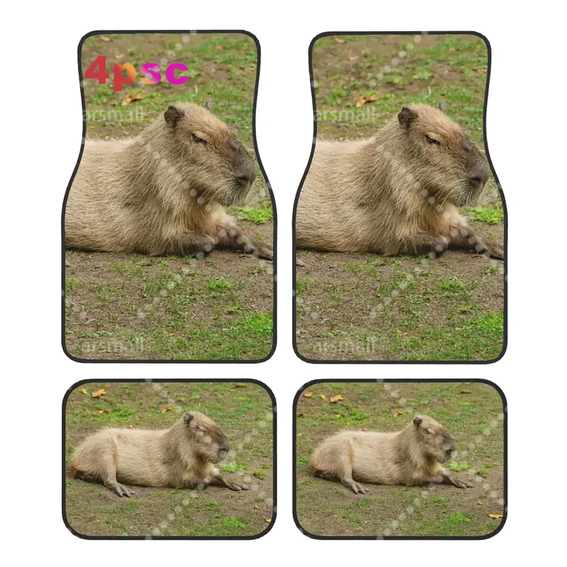 Crystal Velvet Car Floor Mats 4 Pcs Carpets Rugs Just Chilled Capybara Animal Pet Universal Car Front Rear Carpets Foot Mats