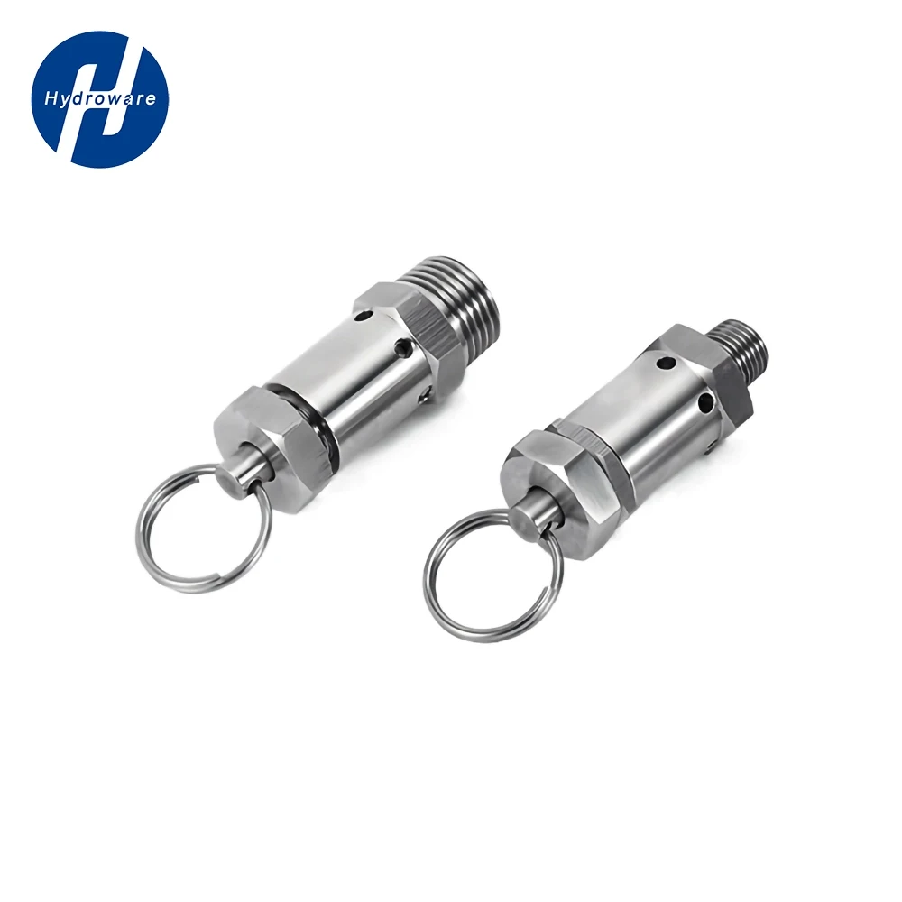 304 Stainless Steel Adjustable Safety Pressure Relief 1/4 1/2