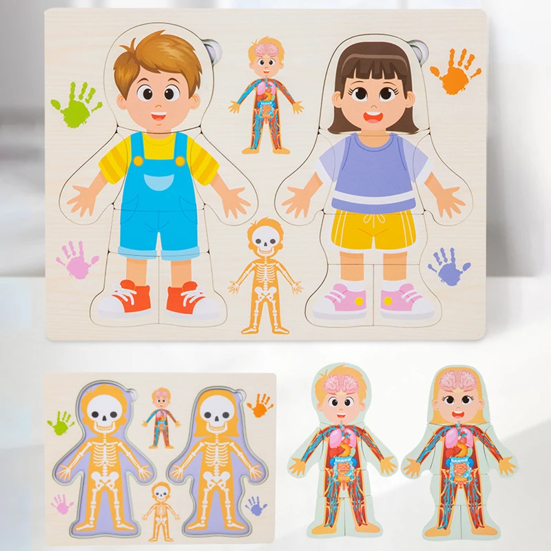 Kinderen Menselijke Lichaamsst - Human Body Puzzle recensie en prijs