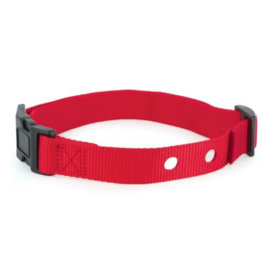 Red 1 Inch Replacement Dog Collar Strap