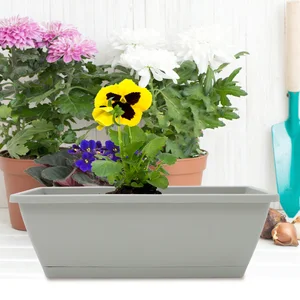 4 Sets Veranda -Pflanzgefäße von Blumen Sukkulenten enthalten 10 Hauptverkäufe großer Gärtner Vase - №4