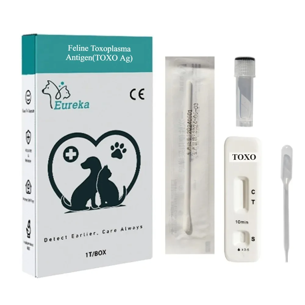 Ranlraka Professional Feline Toxo TOXO Ag Rapid Test Kit Veterinary Toxoplasmosis Antigen Diagnostic Cassette for Clinics & Labs