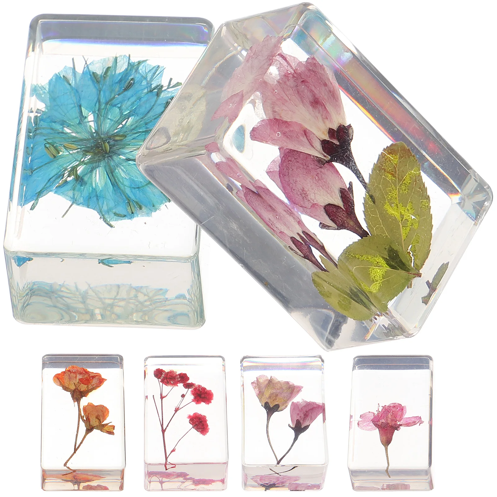 

6pcs Specimens Dry Paperweight Plant Accessories Decorative Diy Crafts Flower Specimen Amber For Education Lightweight Portable