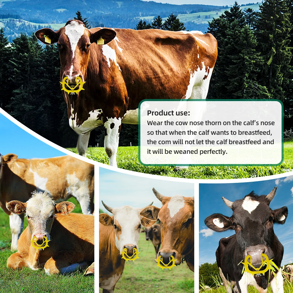 5 Buah Cincin Hidung Ternak Plastik Cincin Hidung Ternak Plastik Tebal Kit Penghenti Perah Anti Mengisap Peralatan Ternak