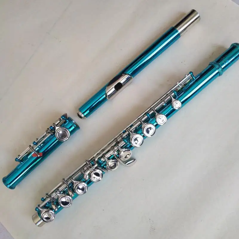 

Excellent Flute With Case 16 Closed Cell C Key E Key Split Band