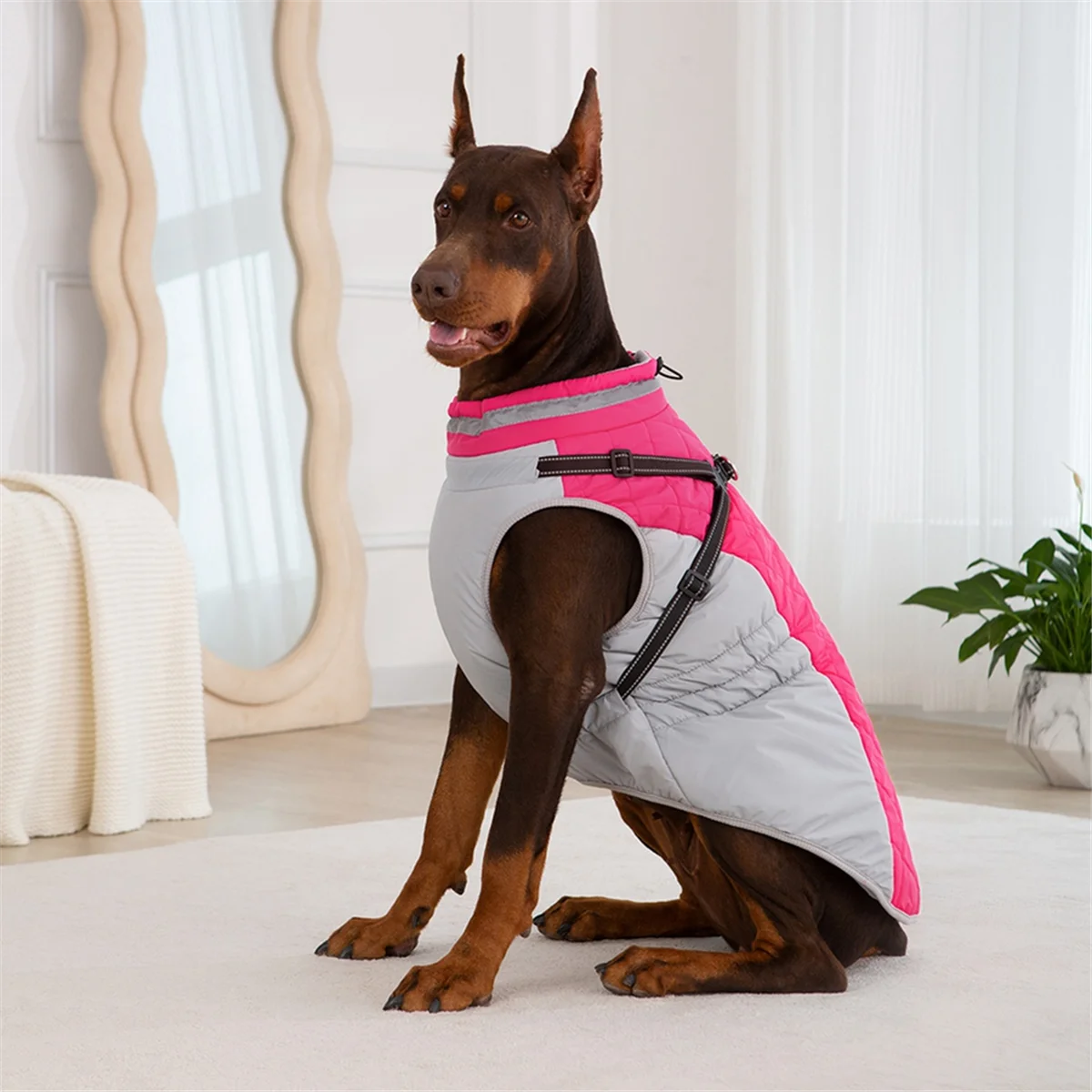 【Exclusive-Deal!】Waterproof Pet Jacket