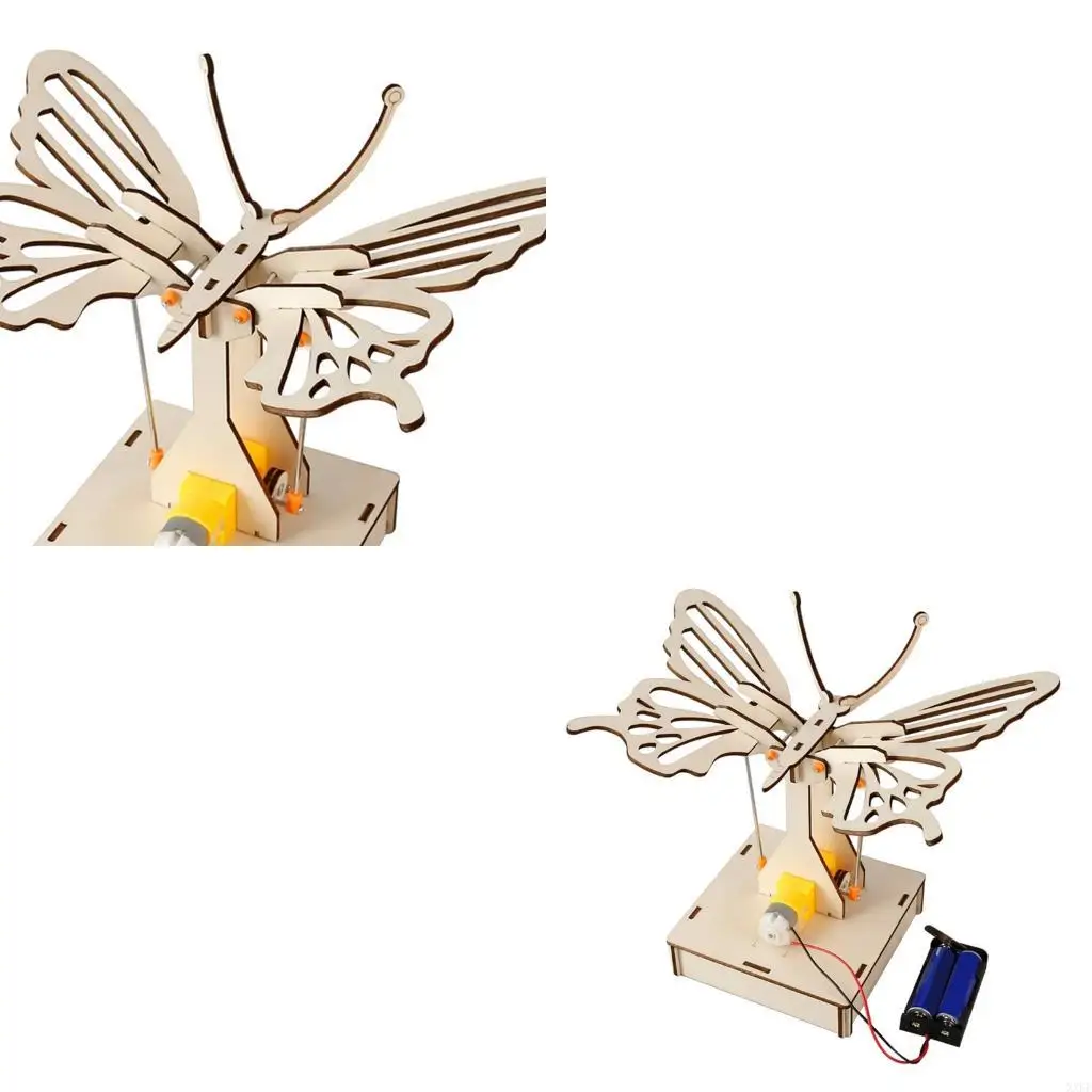xxfe-stem-montagem-de-borboleta-para-atividades-cientificas-infantis-artesanato-e-exibicao