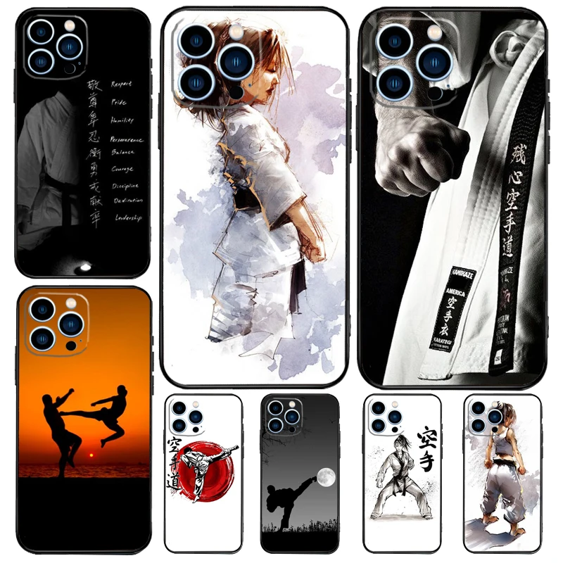 Kung Fu Karate Taek…