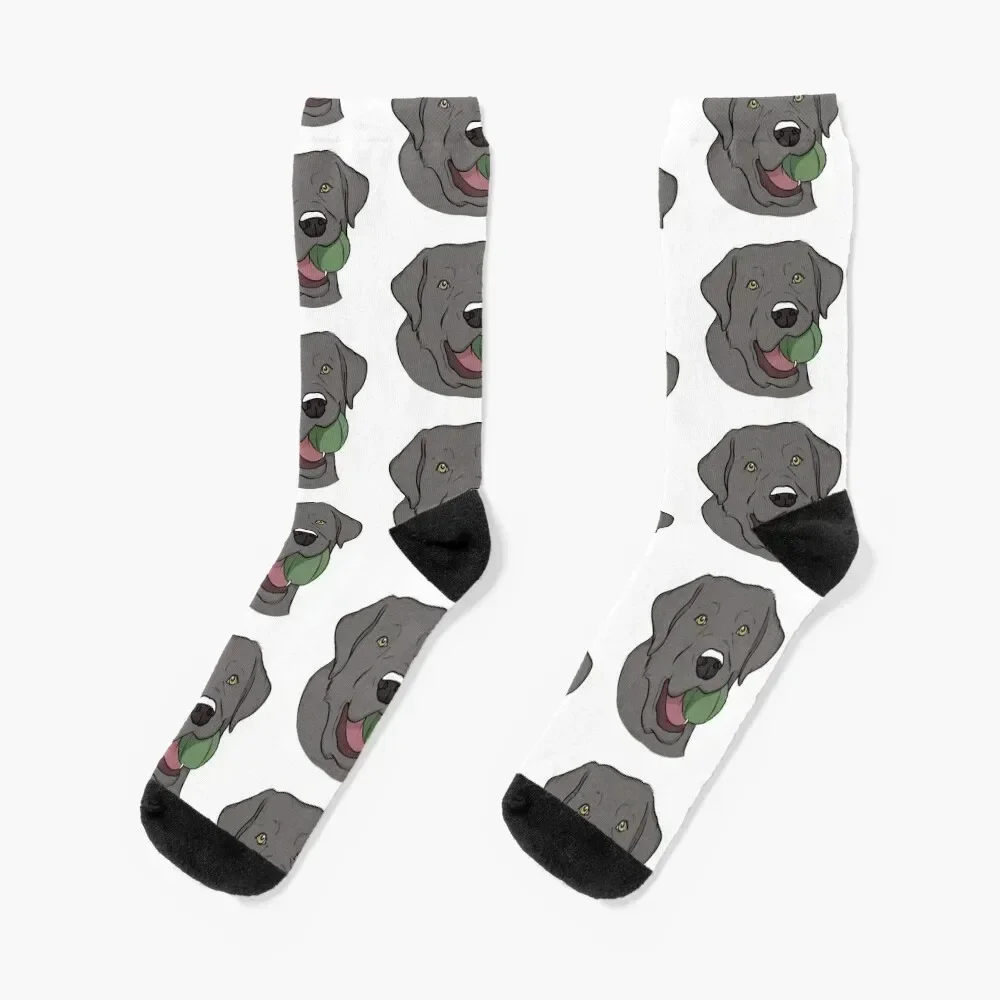 

Silver Labrador with Ball Socks cotton Children's happy kids Men's Socks Luxury Women's