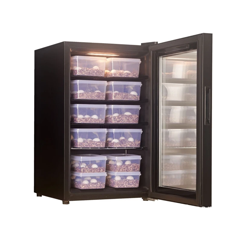 

Custom Automatic Chicken Hatchery Machine Egg Incubator HatcheryChicken Solar Egg Incubator Intelligent Control Poultry