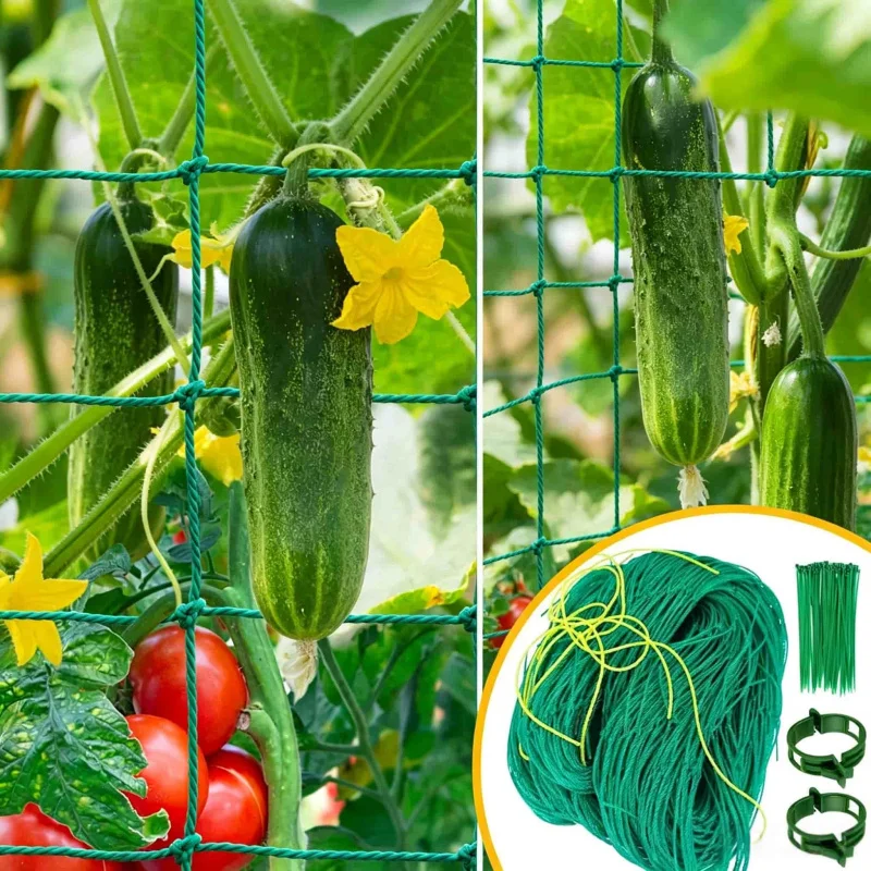 Outdoor Vegetable Climbing Grid Support Plant Net Fixing Accessory for Cucumbers Tomatoes Grapes Beans - Garden Support Structur