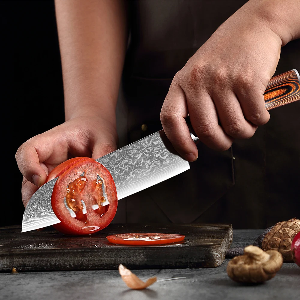 

Japanese Santoku Knife 7 Inch 67-layer Damascus Steel Sharp with Colorful Wooden Handle, Kitchen Knife for Vegetables and Meat