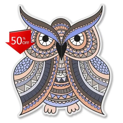 

Owl Colorful Pattern Phone Retro Bumper Laptop Motor Home Boat Gift Cool Funny Trendy Unique