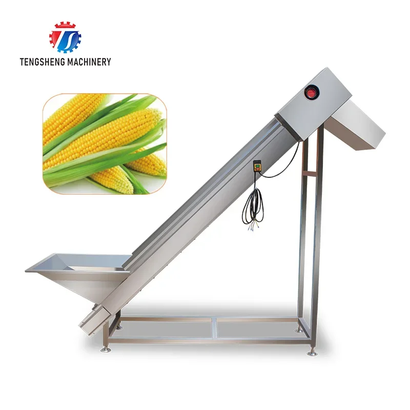 Automatic Fruit Elevating Machine Conveyor System For Fruit Stainless Steel Chain Plate Elevator