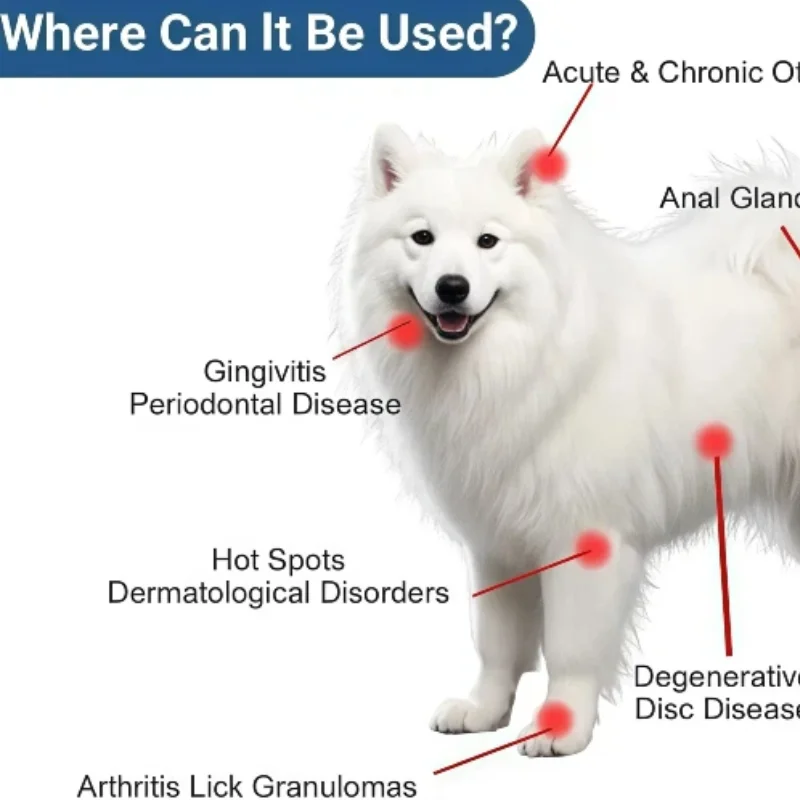 

Лазерный аппарат для снятия боли 650 нм 808 нм, двухволновой красный и инфракрасный свет для лечения растяжений мышц и повреждений связок, для домашнего использования