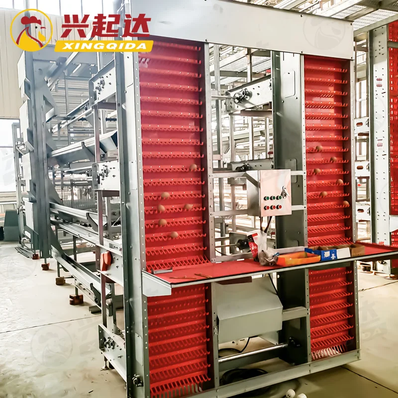 

Battery Cages for Poultry Chicken Layer Healthy Growth Layer Cage Solution Efficient Egg Farming Modern Poultry Chicken Farming