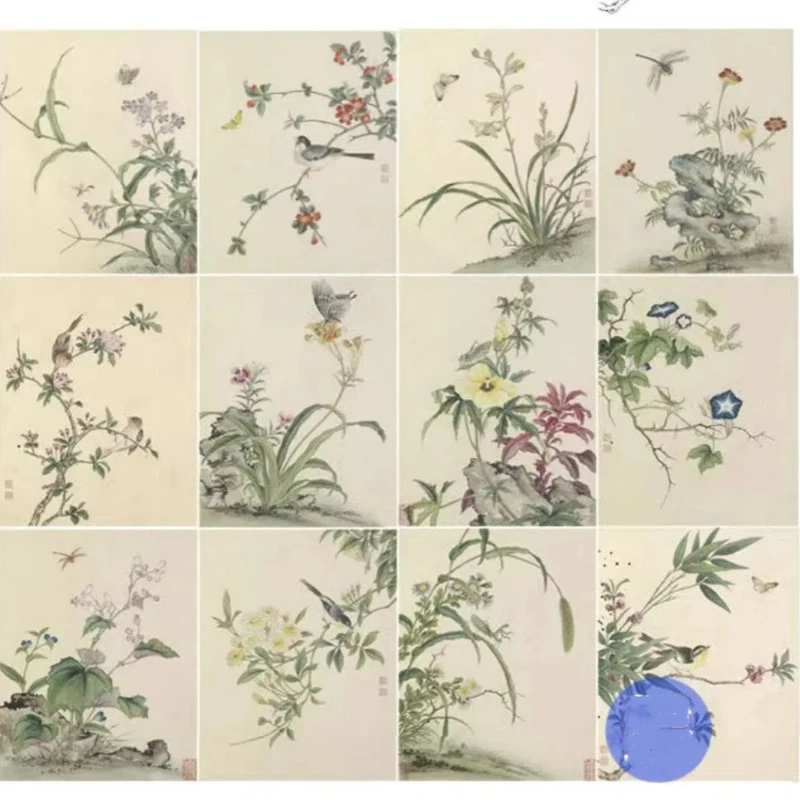 

Professional Chinese Painting Paper Line Draft Draw Manuscript Flower Bird Sketch Copying Manuscript Ripe Xuan Paper Line Draft