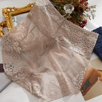 Ropa interior de encaje Sexy para mujer, bragas transparentes, cintura alta, Abdomen en la cadera, calzoncillos adelgazantes, lencería femenina
