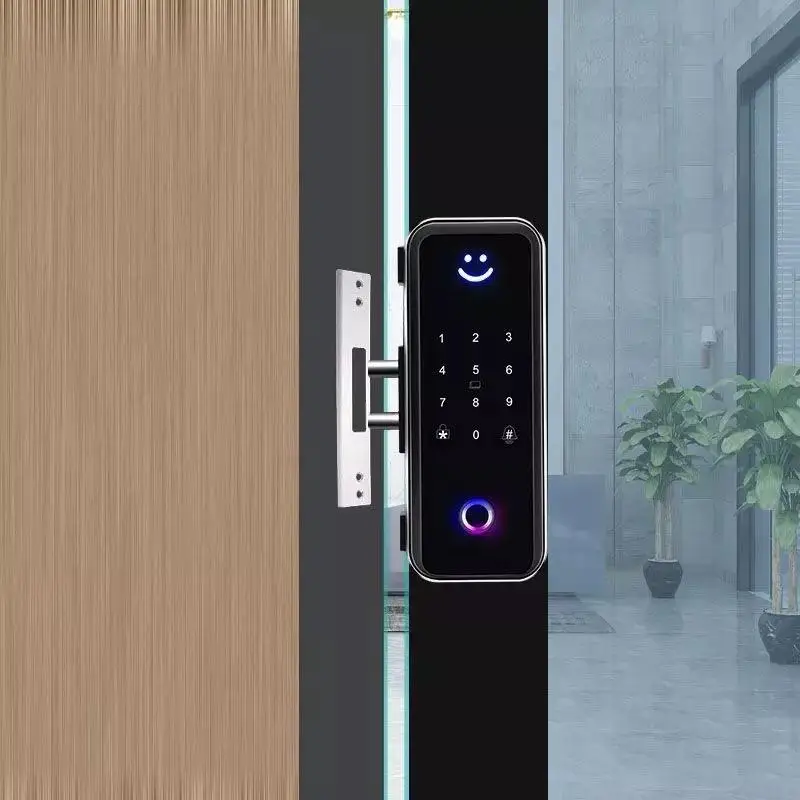 Digital Touch Screen Remote Frameless Smart Biometric Fingerprint Electronic TTlock Glass Door Lock