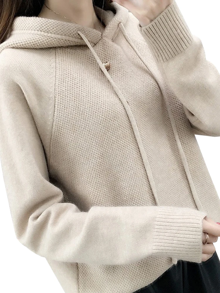 Hooded Sweater Women Autumn Sweater Sueter Mujer Invierno 2023 New Loose All Match Solid Tops Bottoming Knitwear Pull Femme