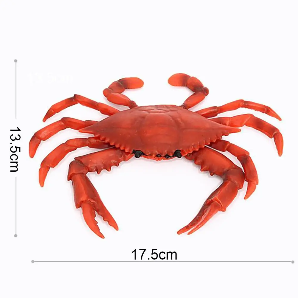 Sea Animal Red Crab Models Simulation Crabs Figurine Scenes Making Micro Landscape Realistic Gift  Kids Cognition Toy