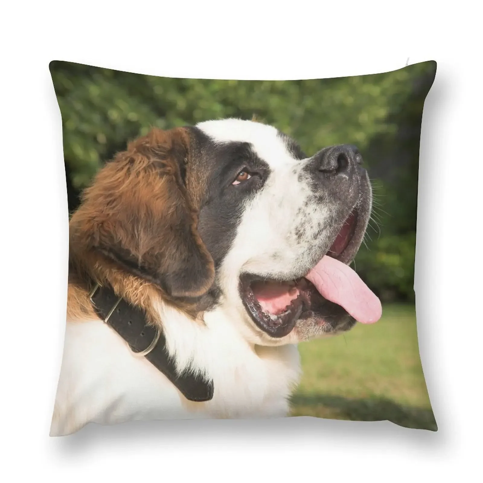 

Saint Bernard Throw Pillow Sofa Covers For Living Room luxury throw pillow covers pillow