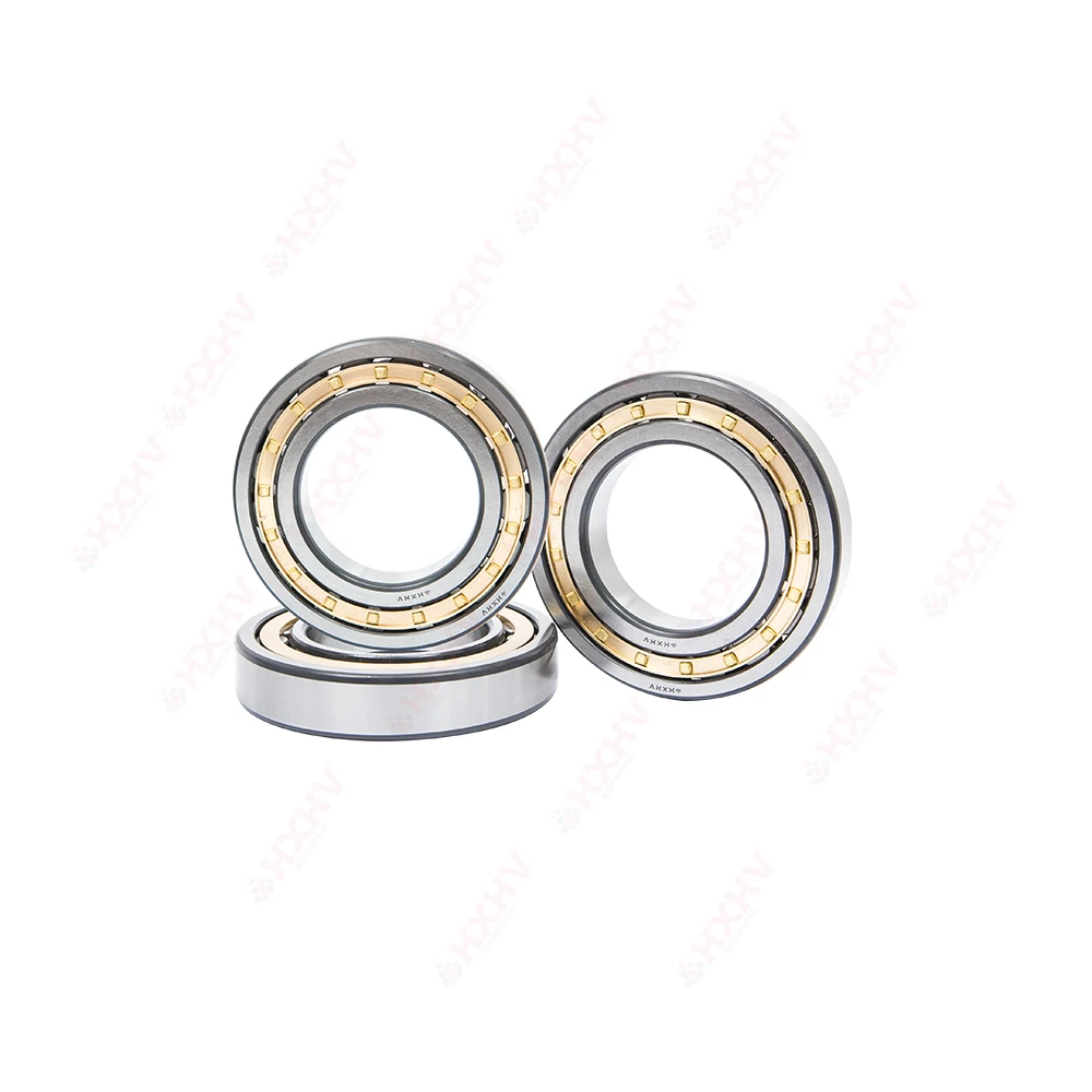 N 248 EM Size 240x440x72 Mm HXHV Chrome Steel Cylindrical Roller Bearing