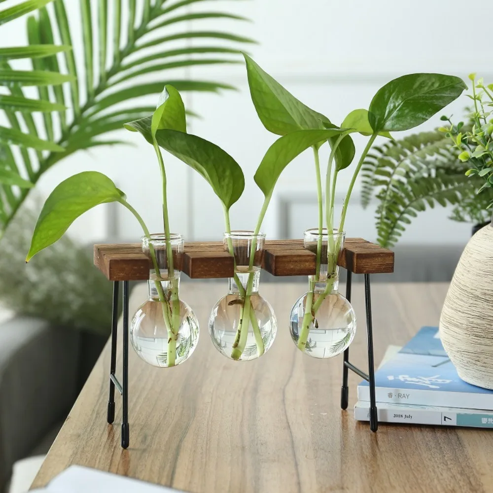 

Creative Wooden Frame Hydroponic Plant Container Glass Bulb Vase Home Tabletop Decor Vases Beaker Glass Planter Bonsai