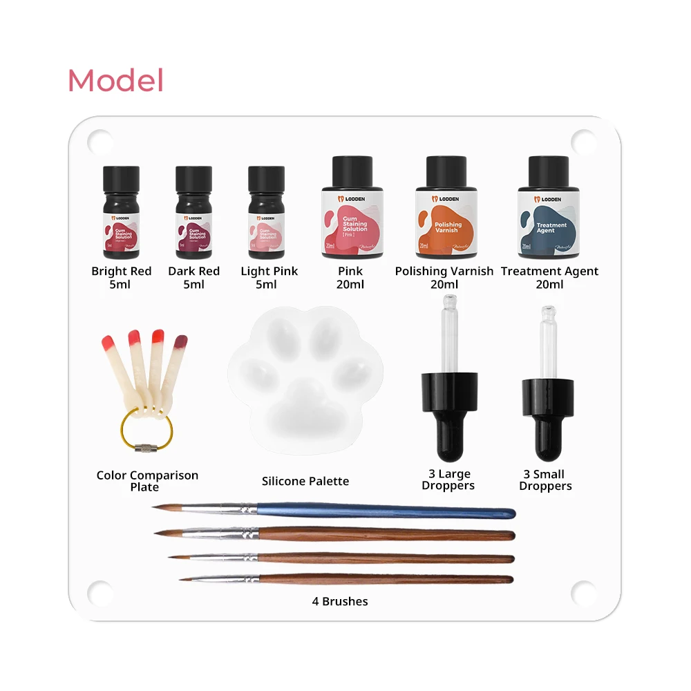 Lodden Dental Light Curing Stain Glaze Dental Lab Polymerised Porcelain Staining Temporary Polymer-based Crown Bridge Materials