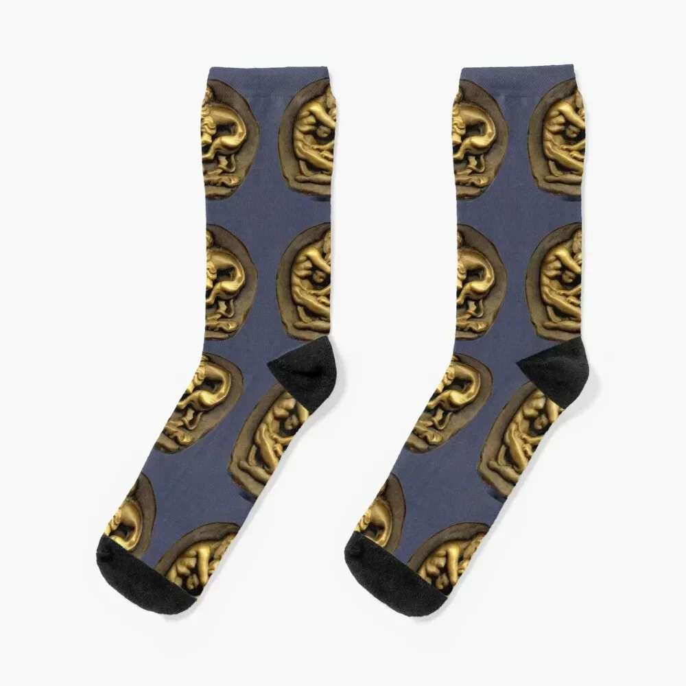 Herakles and The Lion: Greek Drachma Socks New year's japanese fashion summer Lots Designer Man Socks Women's